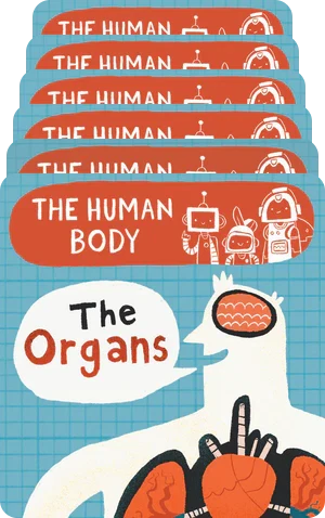 BrainBots: The Human Body